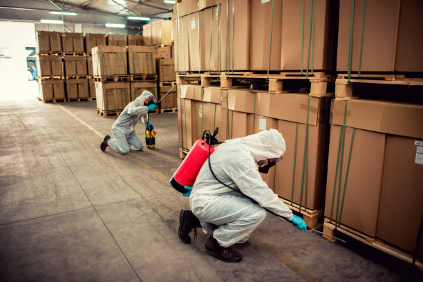 Best Pest Control Near Me  in Bloomingdale, FL