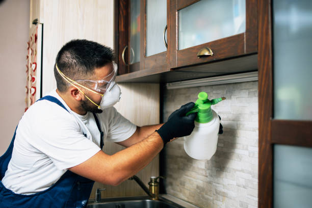 Best Wasp Removal Services  in Bloomingdale, FL