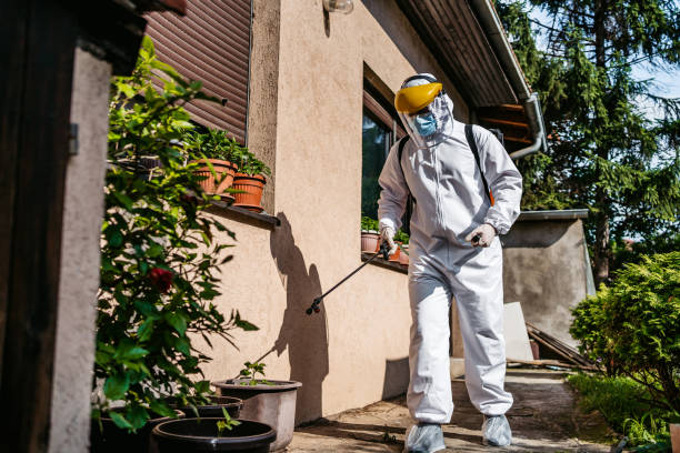 Best Termite Control Services  in Bloomingdale, FL
