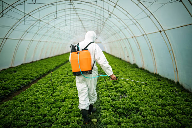 Best Pest Removal Services  in Bloomingdale, FL