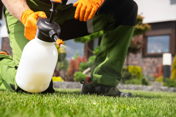 Best Wasp Removal Services  in Bloomingdale, FL