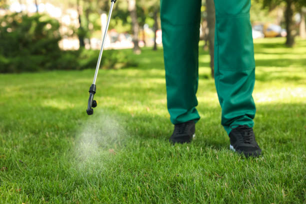 Best Affordable Pest Control Services  in Bloomingdale, FL