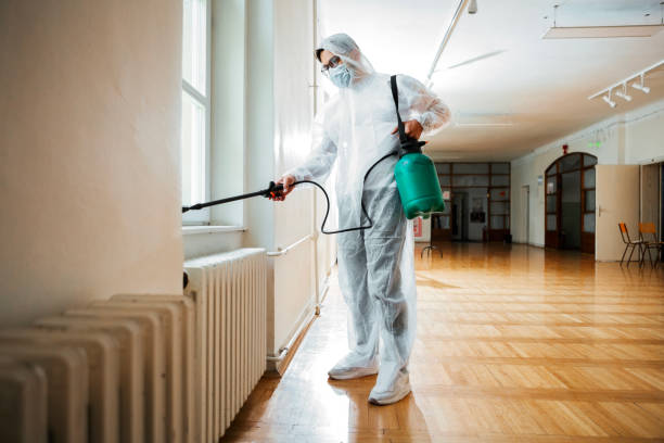 Best Pest Inspection Near Me  in Bloomingdale, FL